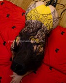 Анкета проститутки Олеся - метро Ростокино, возраст - 28